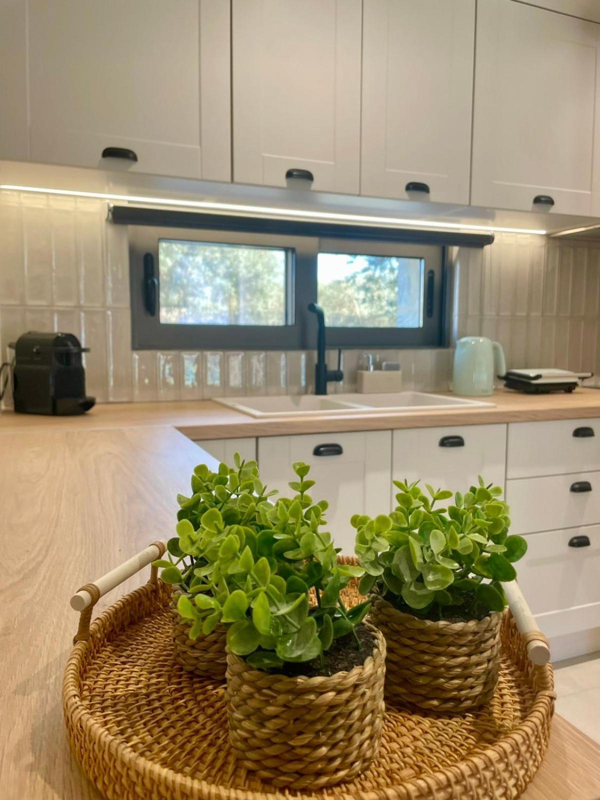 Apartmán Yannis Retreat Lefkáda Exteriér fotografie